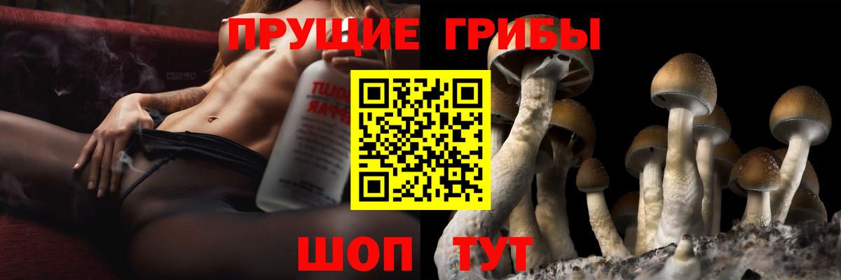 Псилоцибиновые грибы мицелий Каспийск